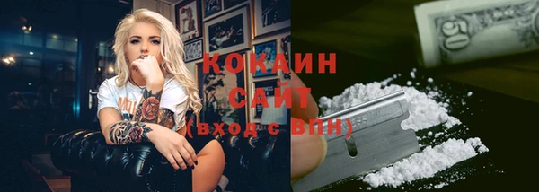 соль курить ск Белокуриха