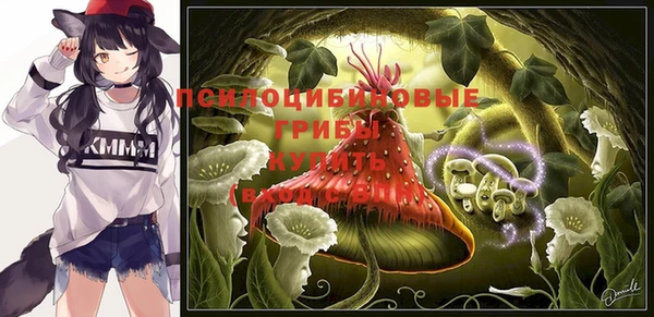 соль курить ск Белокуриха