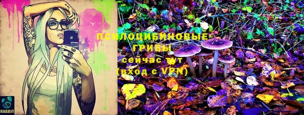 соль курить ск Белокуриха