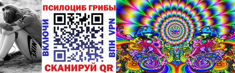 Галлюциногенные грибы Cubensis  купить закладку  Ветлуга 