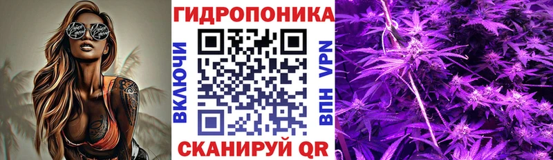 Канабис семена  наркошоп  Ветлуга 